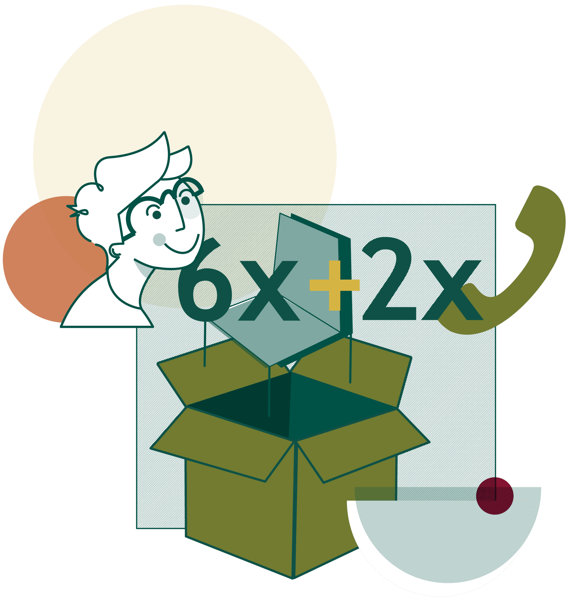 vielsicht paketpreis